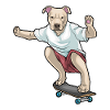 Pitbull Skater Skateboard