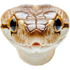 Serpent