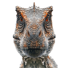 T-Rex