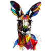 Kangaroo
