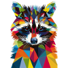 Raccoon