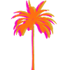 Palm tree-
