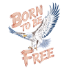 Aigle Né pour être libre