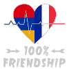Armenia and France 100% friendship
