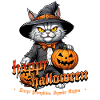 Chat d’Halloween avec citrouille