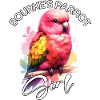 Bourke Perroquet Fille Bourke Perruche
