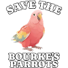 Bourke Parake, Sauvez Bourke Parrot