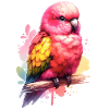 Bourke Parakeet Motif