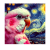 Bourkesittich Starry Night