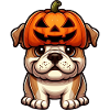 Cute Bulldog Halloween Pumpkin Cartoon