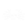 skull guns