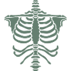 Skeleton Body