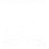 Turntable DJ