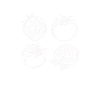 Gärtner Tomate Bauer Garten