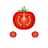 Jardinier Tomate Jardin Fermier