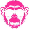 Monkey with sunglasses