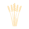5 Wheat Ears Highlight Gold
