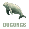 Manatee Dugongs Dugong