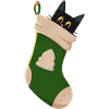 Cat in green boot