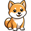 Shiba Inu Chien Comique Bébé