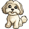 Havanese Dog Comic Baby