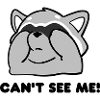 Raccoon Shirt “CAN´T SEE ME”