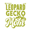 Gecko - Amphibian Animal