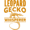 Gecko - Amphibian Animal