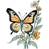 Butterfly with Flowers, Butterfly