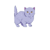 British Shorthair Gifts