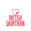 British Shorthair Gifts