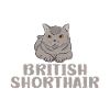 Cadeaux British Shorthair
