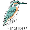 Kingfisher Eisvogel