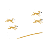 Agility