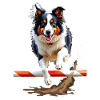 Agility