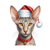 Christmas oriental shorthair cat