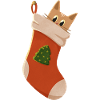 Cute kitten in boots