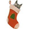 Cat in Christmas stocking