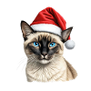 Siamese christmas cat