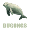 Manatee Dugongs Dugong