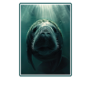 Seekuh Manatees Manatee