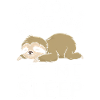 Sloth Sloths Sleeping Lazy