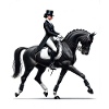 Dressage rider