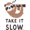 Sloth: Take it slow