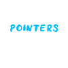 Pointer