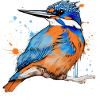 Eisvogel,Zeichnung,bunt,vogel,Graffiti,sketch