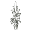 Flower Knife