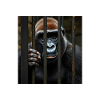 Sur primate fermé