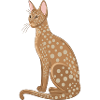 Cat with dots