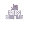 British Shorthair Gifts
